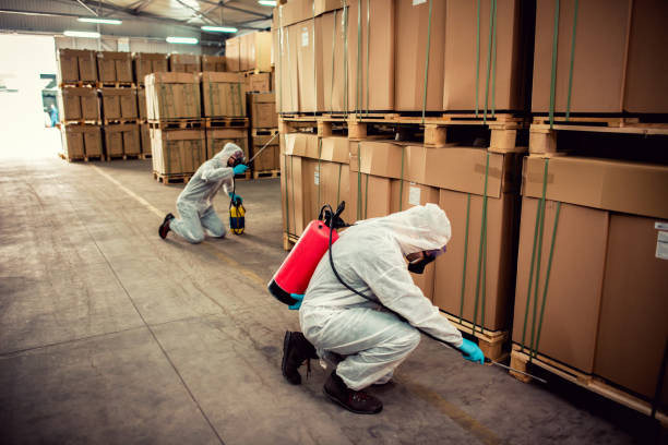 Best Bed Bug Extermination  in Fort Valley, GA