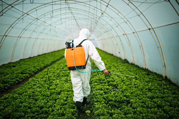 Best Affordable Pest Control Services  in Fort Valley, GA