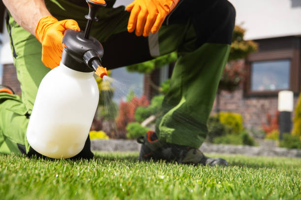 Best Insect Control  in Fort Valley, GA