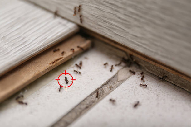 Best Pest Prevention Services  in Fort Valley, GA