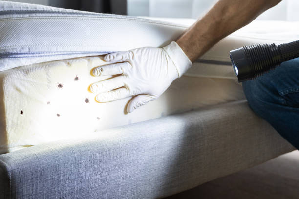 Professional Pest Control in Fort Valley, GA