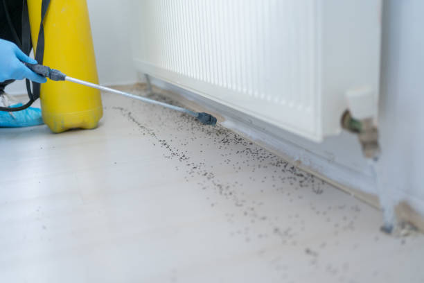 Best Pest Prevention Services  in Fort Valley, GA
